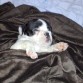 te xiquitito me pasaba todo el dia durmiendo...